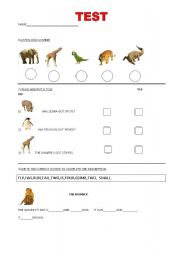 English Worksheet: test on animals