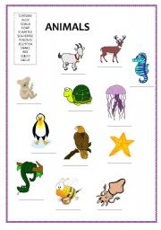 English worksheet: Animals 3