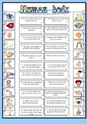 English Worksheet: Human body (BW + the key)