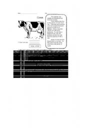 English worksheet: cow