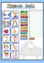 English Worksheet: Body - matching and wordsearch for beginners