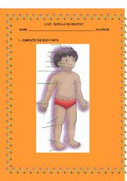 English Worksheet: Body Parts