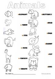 English Worksheet: animals