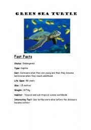 English Worksheet: Green Sea Turtles