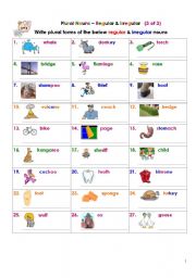 English Worksheet: Plural Nouns  Regular & Irregular (3 of 3)