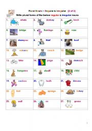 Plural Nouns  Regular & Irregular (3 of 3)