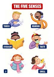 English Worksheet: THE FIVE SENSES