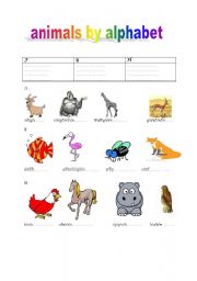 English worksheet: animals