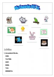 English worksheet: PET