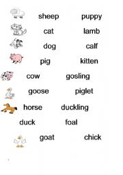 English worksheet: match animals to their babies