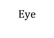 English Worksheet: Face Vocabulary