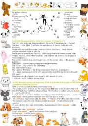 English Worksheet: Cats and dogs