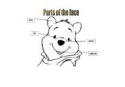 English worksheet: parts of the face