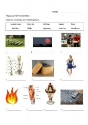 English Worksheet: 