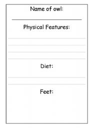 English Worksheet: Report writing - Owls