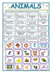 English Worksheet: Animals