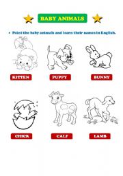 English Worksheet: BABY ANIMALS