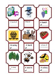 English Worksheet: collective nouns