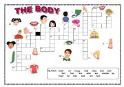 English Worksheet: Crossword : the body