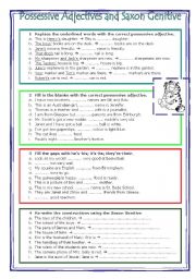 English Worksheet: Possessive adjectives and saxon genitive