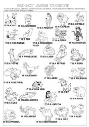 English Worksheet: FAUNA  - WHAT ARE THEY? ACTIVITY + KEY