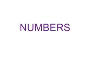 English Worksheet: Numbers from 1 to 20