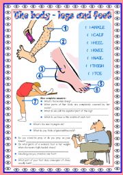 English Worksheet: The human body (legs and feet): vocabulary  legs and feet  2 tasks  fully editable