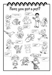 English Worksheet: Have you got a pet?