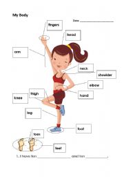 English Worksheet: My Body