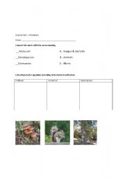 English Worksheet: Producer/Consumer/Decomposer