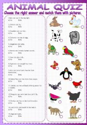 English Worksheet: ANIMAL QUIZ