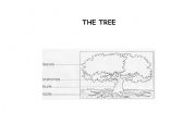 English worksheet: The tree