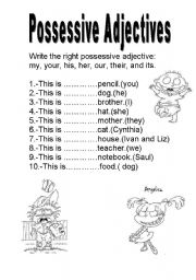 English Worksheet: Possessive adjectives