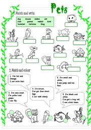 English Worksheet: PETS (1/3)