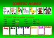 English worksheet: Domestic Animals (the sounds they make & revision of colours)