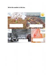 English Worksheet: The weather