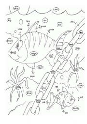 English Worksheet: COLOUR THE OCEAN