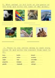 English worksheet: ANIMALS