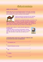 English Worksheet: reading and comprehension