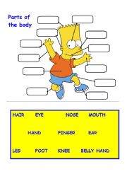 English Worksheet: PARTS OF THE BODY