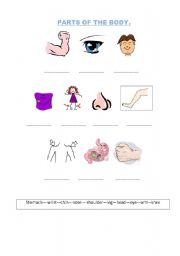 English worksheet: Parts of hte body.