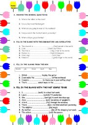   a bit of everything for an elementary exam. comparatives and superlatives, past tense, vacabulary and present continuous 