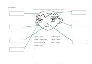 English Worksheet: face