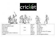 English worksheet: cricket