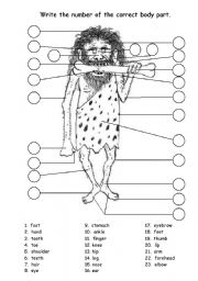 English Worksheet: number the bodyparts