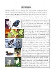 English Worksheet: NZ Birds Reading Comprehension 