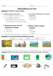 English worksheets: Natural Resource Test