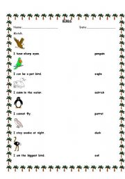 English Worksheet: BIRDS!