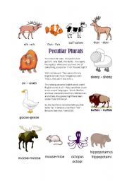 English Worksheet: Peculiar Plurals - Irregular Animal Plurals Worksheet
