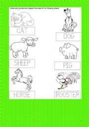 English Worksheet: ANIMALS ACTIVITY CARD -Join the dots- colour - Cat-Dog-Sheep -Pig-Horse-Rooster- kindergarten